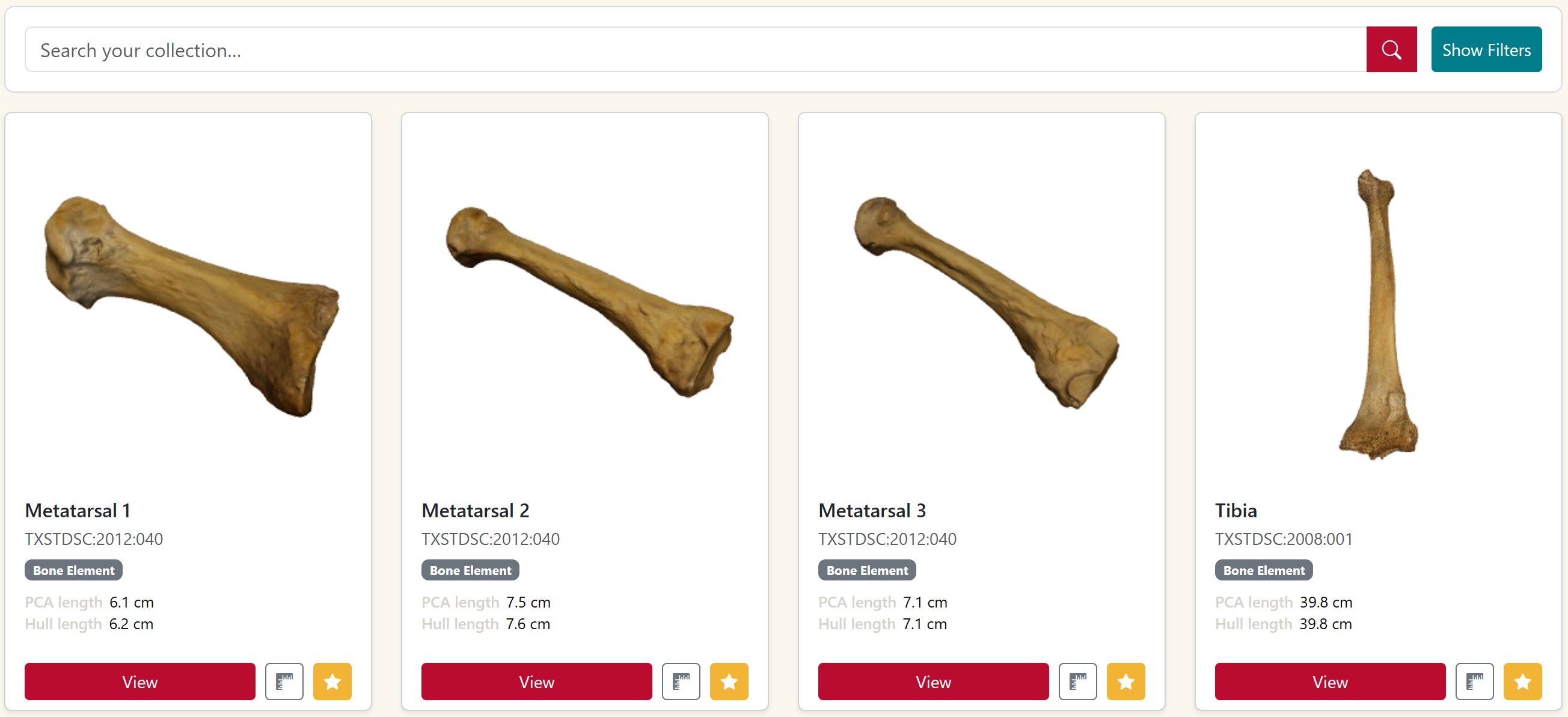 Saved collection of bone elements with automated measurement extraction