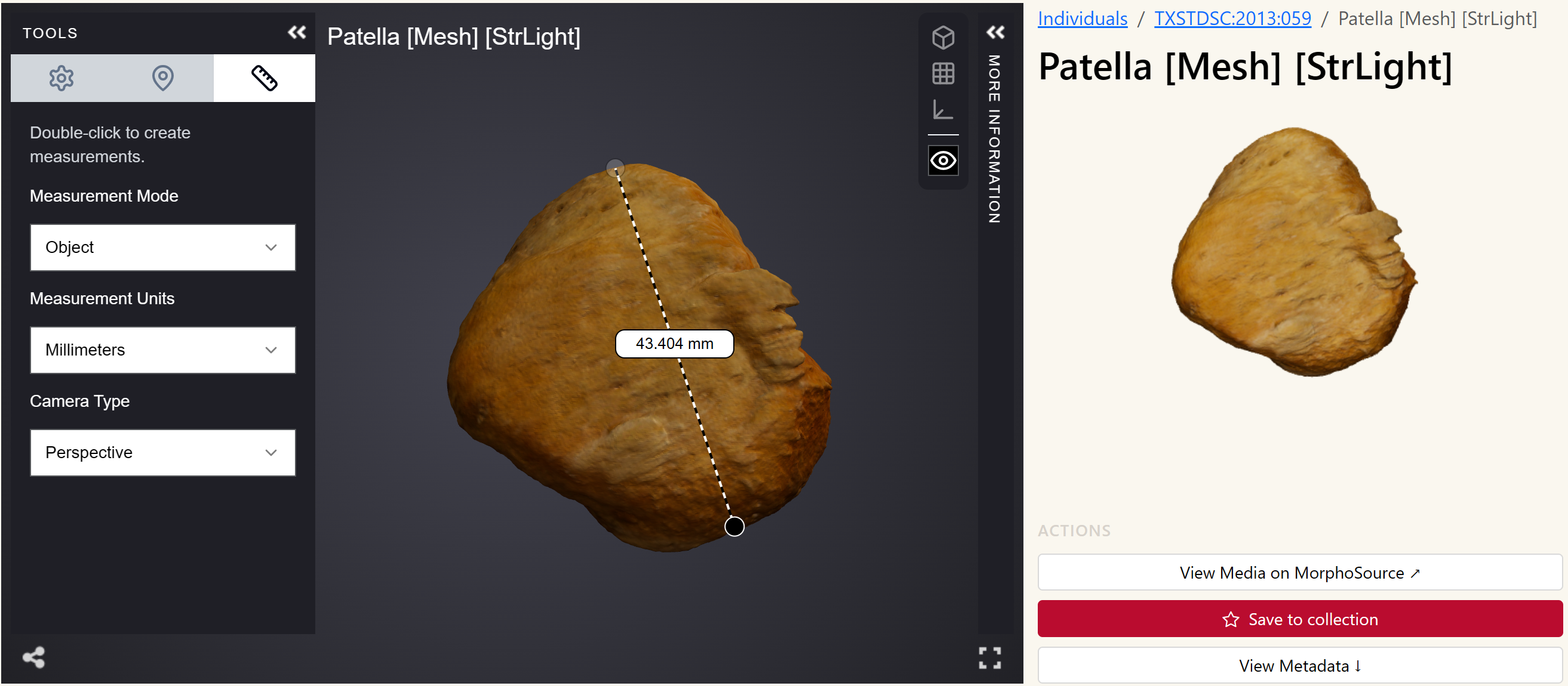 In-browser 3D viewer of a bone
